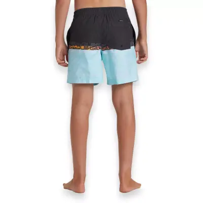 Quiksilver Aqbjv03051 Everyday Çok Renkli Erkek Çocuk Şort - 5